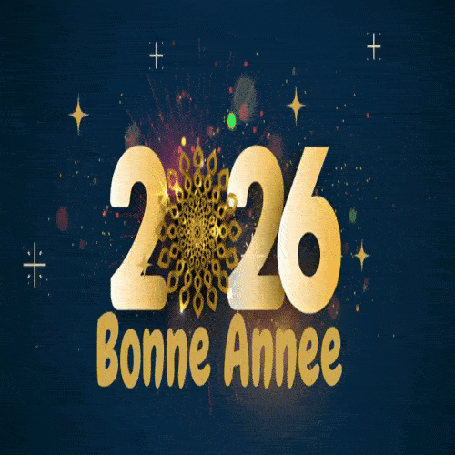 bonne année 2026 GIF Whatsapp